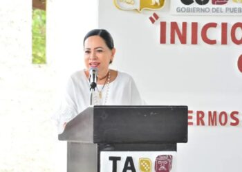 Titular de SEP en Tabasco pide a jóvenes tener hijos, no mascotas