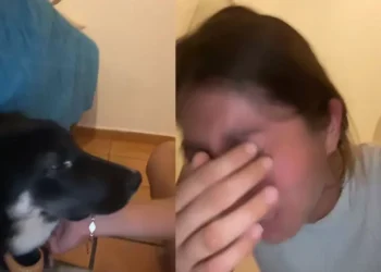 Joven solicita ayuda económica para su perro enfermo