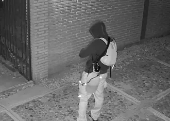 Investigan nuevo caso de crueldad animal en Oaxaca