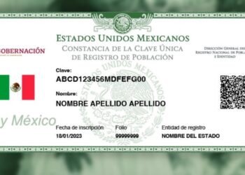 Consulta tu CURP gratis y sin salir de casa