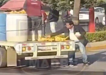 Polleros trasladan producto en cajuela de carro
