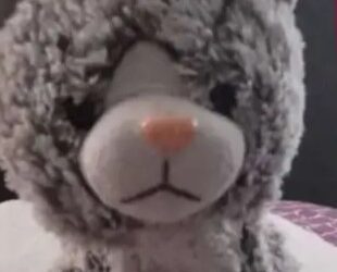 Extorsionan a familia por peluche de su hijo autista