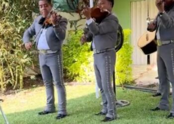 Perrito encantado al escuchar mariachis por primera vez