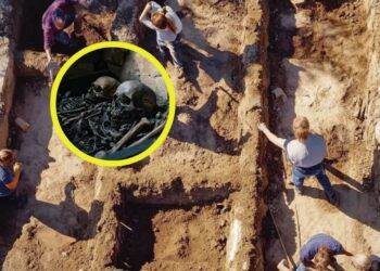 Descubren cementerio bajo centro comercial