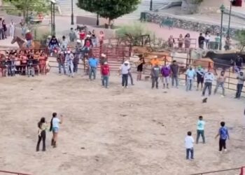 Indignación por crueldad contra gatos en fiesta patronal de Guanajuato