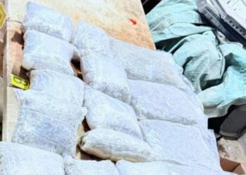 Catean domicilio en Jardín Balbuena; decomisan droga y utensilios