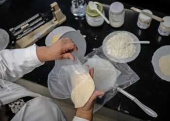 UNAM desarrolla tortilla con probióticos que resiste un mes sin refrigeración