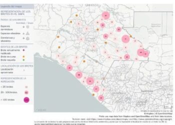 Brote de gusano barrenador en México alcanza 666 casos; detectan también infecciones en humanos