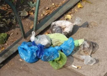 Heces obstruyen drenaje y agravan inundaciones en CDMX