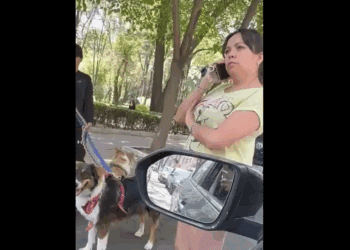 “Lady Abogada” impide estacionamiento en la Condesa y se enfrenta a conductor