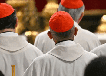 El enigmático papel del cardenal secreto: ¿puede un laico votar en el cónclave?