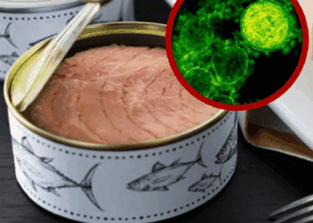 Retiran atún enlatado en EU por riesgo de botulismo; alertan a consumidores