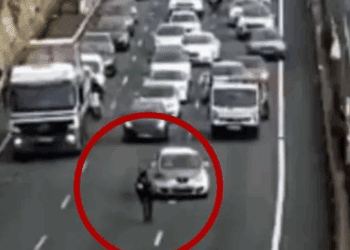 Burro se escapa de feria y desata caos vial en Sevilla