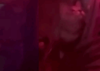 Joven causa polémica por llevar a su gato a un bar en el Estado de México