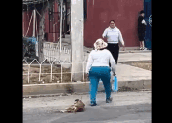 Indignación en Pachuca: mujer arrastra a perrita desmayada y vecinos logran rescatarla