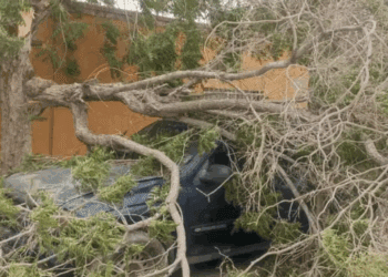 Vientos intensos provocan daños materiales en Ciudad Juárez