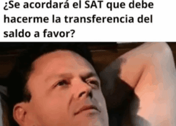 Con humor y cifras récord: la devolución del SAT 2025 en redes