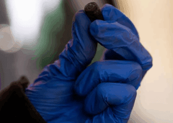 Violento ataque en Ahumada, Chihuahua, deja sin vida a policía y a su hijo