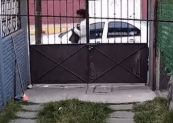 Abuela logra visitas supervisadas tras abandono del bebé en Tultitlán