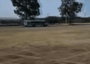 Exhuman 17 cadáveres en predio cercano a cancha de futbol en Irapuato