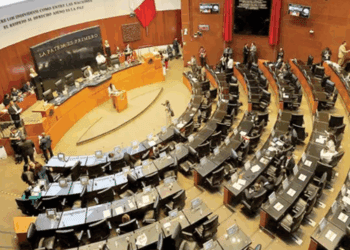 Senado da marcha atrás y permite al INE validar perfiles judiciales