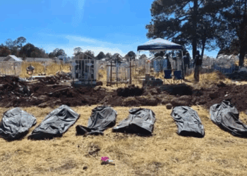 Hallan diez cuerpos enterrados ilegalmente en panteón de la Sierra Tarahumara