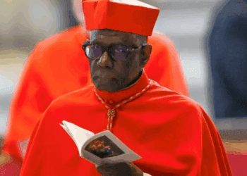 Cardenal Sarah: figura clave y crítica en la sucesión papal