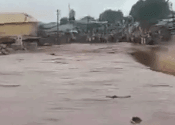 Graves inundaciones en Nigeria dejan más de 115 víctimas y devastación en comunidades rurales
