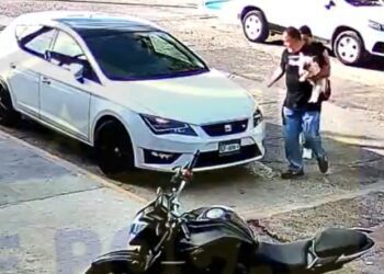 Captan robo de perro de raza en Aguascalientes; pareja huye en auto blanco