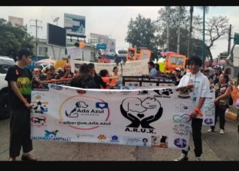 Exigen justicia por crueldad animal en Veracruz; organizaciones marchan contra impunidad