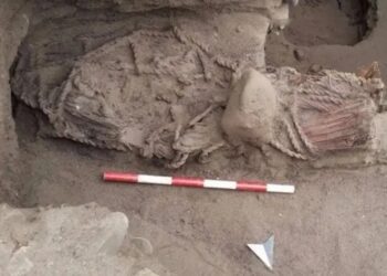 Misterioso entierro: descubren momia de élite en un basurero de Perú