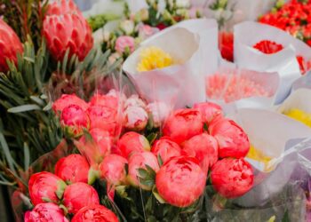 Profeco alerta por fraudes y da tips para comprar seguro el 10 de mayo