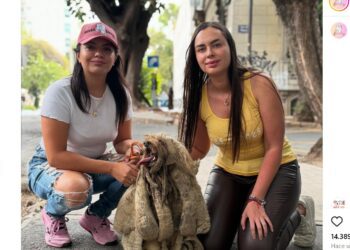 Rescatan en CDMX a “Soñador”, un perro que pasó años olvidado en una azotea