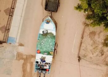 México incumple plazos en protección de la vaquita marina