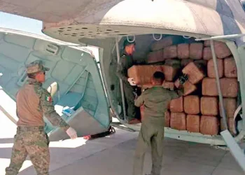 Ruta del Pacífico: vía estratégica para el narcotráfico y el tráfico de especies