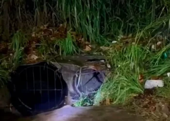 Extranjero desaparece tras ser arrastrado por la lluvia y caer en una alcantarilla en Tapachula