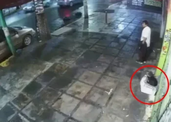 Roban cobija a perrito callejero