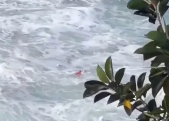 Bombero rescata a hombre de ahogarse en Brasil