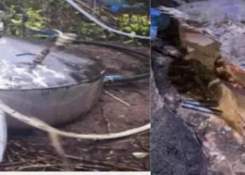 Desmantelan narcolaboratorio en Morelos