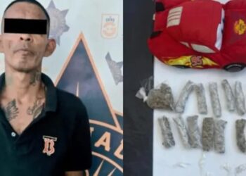 Detenido por ocultar drogas en “Rayo McQueen”