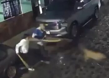 Negrito, el perrito maltratado, se recupera