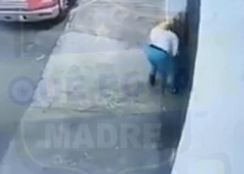Video revela envenenamiento de gatitos en Zapopan