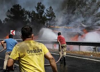 50 mil personas evacuadas en Turquía por incendios forestales