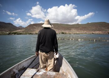 Estados Unidos procesa a cuatro pescadores mexicanos