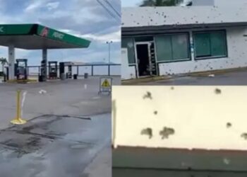 Ataque armado deja una gasolinera baleada y varios muertos en Sinaloa