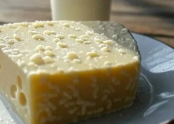 Jalisco intensifica vigilancia tras detectar 20 casos de brucelosis en 2025