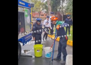 Aparece serpiente gigante en el IPN