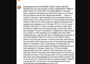 Britney Spears arremete contra sus ex: “Fueron crueles, prefería a sus perros”