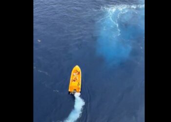 Padre se lanza al mar desde crucero para salvar a su hija y desata polémica