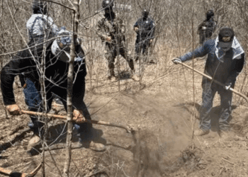 Colectivo localiza nueve cuerpos en fosas clandestinas de Mazatlán